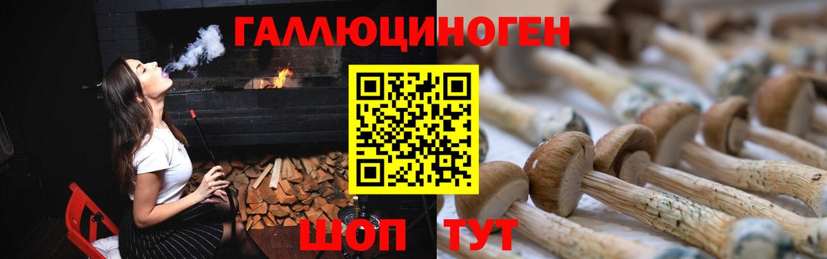 Псилоцибиновые грибы Psilocybe  Псилоцибиновые грибы Magic Shrooms  Ейск  Вход с VPN 